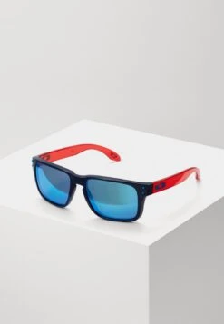 Oakley HOLBROOK - Sonnenbrille - Translucent Grey Smoke -Oakley 29767dc421064b3bb152cbd78d734a9a 2