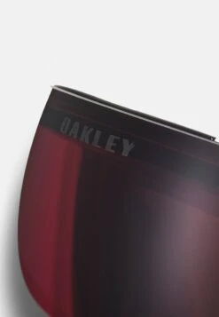 Oakley FLIGHT DECK UNISEX - Skibrille - Matte Black -Oakley 7203478199ff48eda4cef67d0dba0450