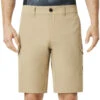Oakley Hybrid Cargo Kurze Freizeithose Rye Herren -Oakley oakley hybrid cargo shorts 442534 30w gross1AX9cBLc7QMgf